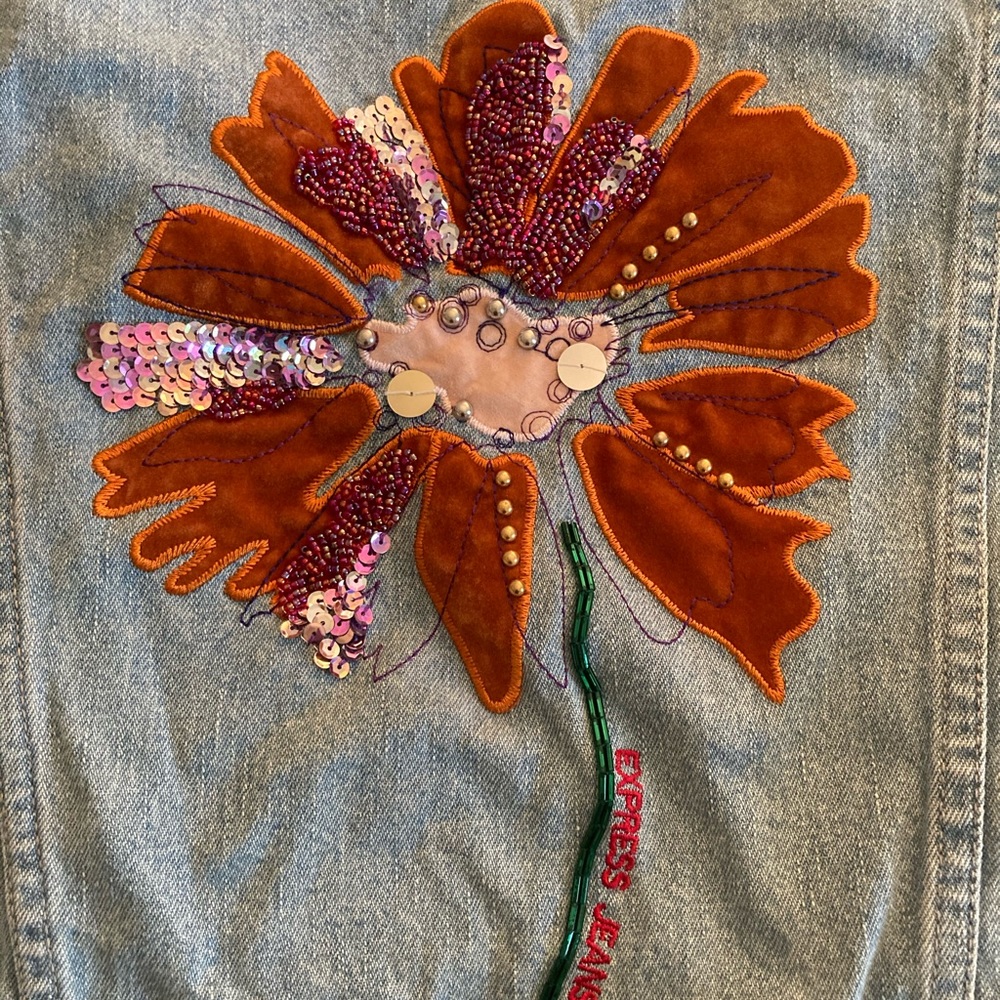 Express Jeans Blue Jean Jacket
